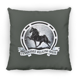 TWH Retro Vintage PILLOWS THREE SIZES