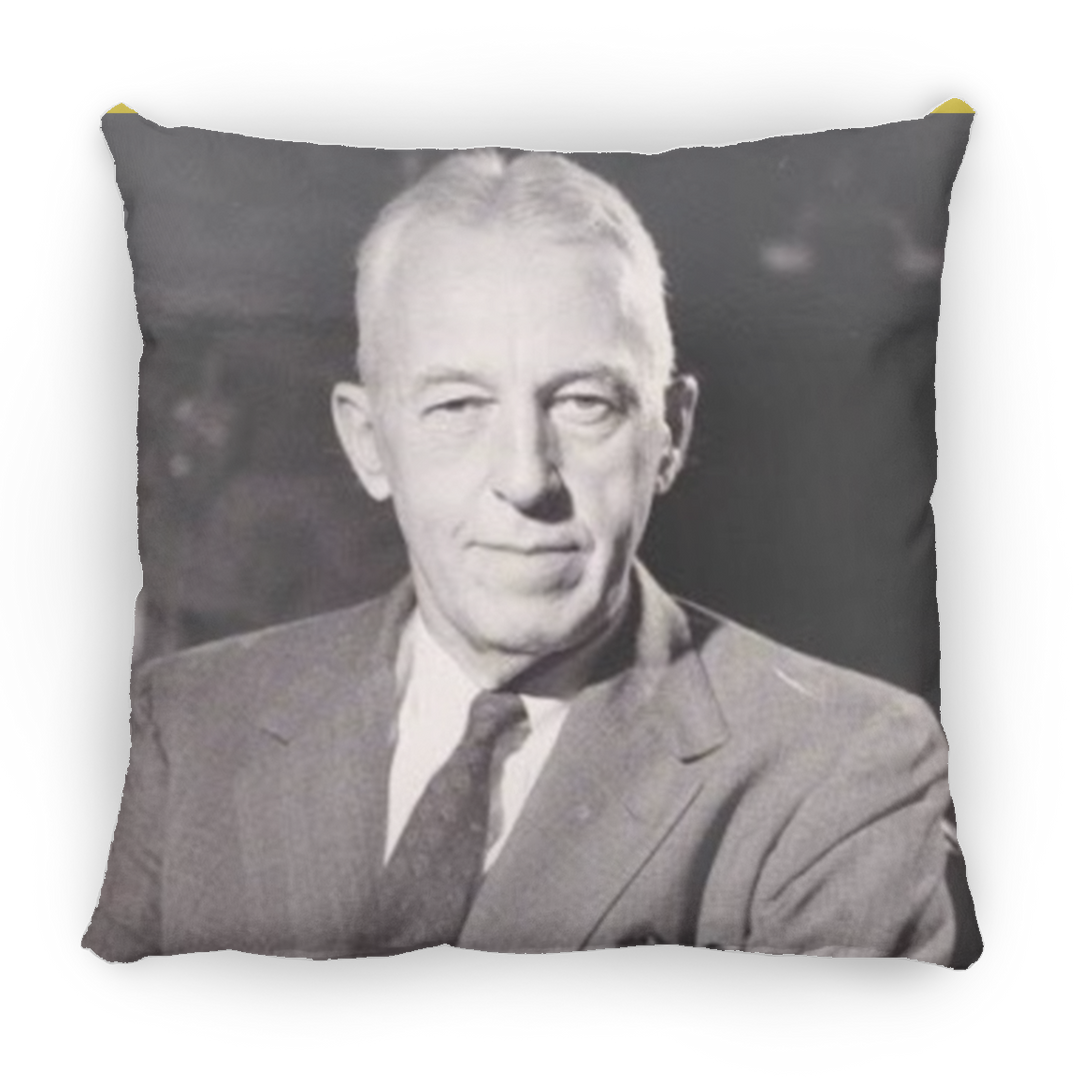 BILL W PILLOWS THREE SIZES