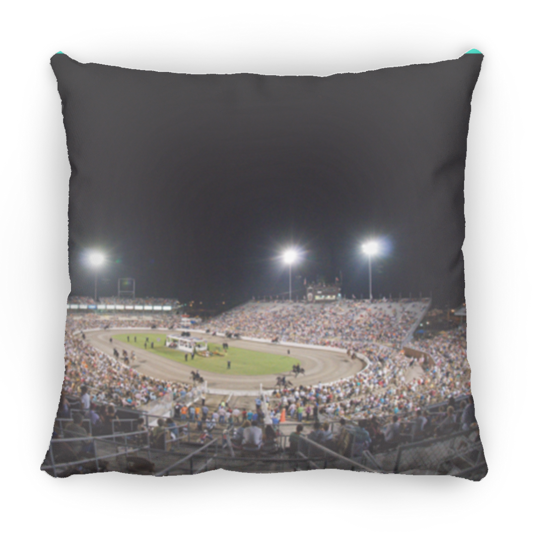 THE BIG OVAL-TWHNC PILLOWS THREE SIZES
