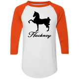 HACKNEY DESIGN 1 (black) 4HORSE 4420 Colorblock Raglan Jersey