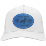 WALKIN ACROSS TENNESSEE TWH CP80 Twill Cap - Patch