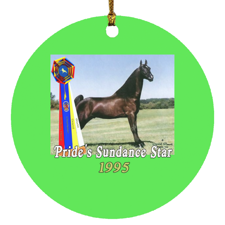 WGC PRIDES SUNDANCE STAR SUBORNC Circle Ornament