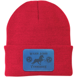 WALKIN ACROSS TENNESSEE TWH CP90 Knit Cap - Patch
