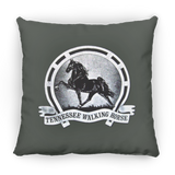TWH Retro Vintage PILLOWS THREE SIZES