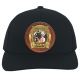 KATHY PARROTT JAMISON (TWH LEGENDS) HAT 104C Trucker Snap Back - Patch