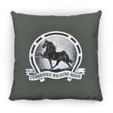 TWH Retro Vintage PILLOWS THREE SIZES