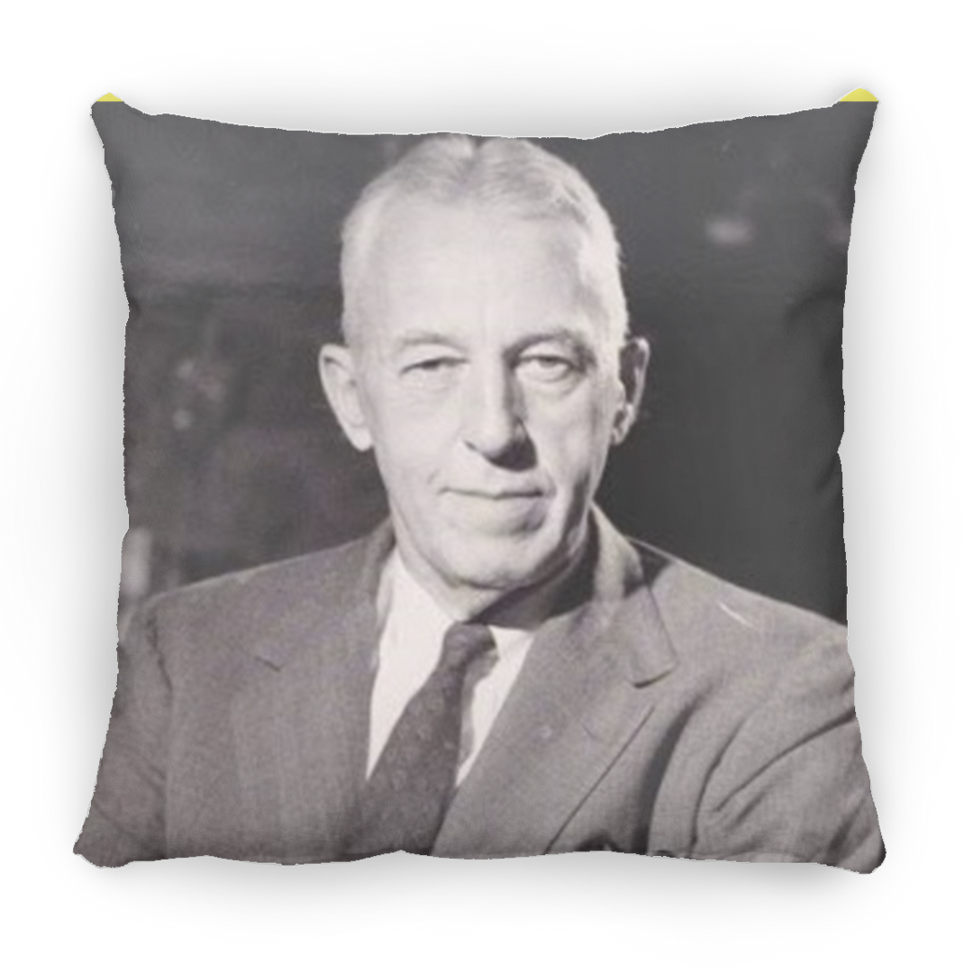 BILL W PILLOWS THREE SIZES