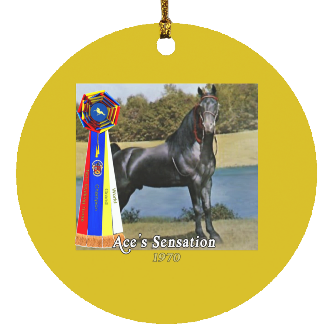 WGC ACES SENSATION SUBORNC Circle Ornament