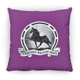 TWH Retro Vintage PILLOWS THREE SIZES