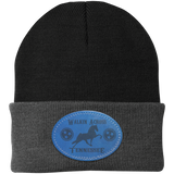 WALKIN ACROSS TENNESSEE TWH CP90 Knit Cap - Patch