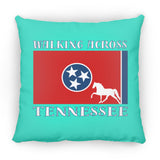 Walking Across Tennessee (Pleasure) ZP16 Medium Square Pillow