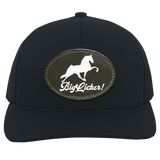 BIG LICKER PATCH HATTRUCKER HAT ( THREE SHAPES-12 COLORS AND STYLES)