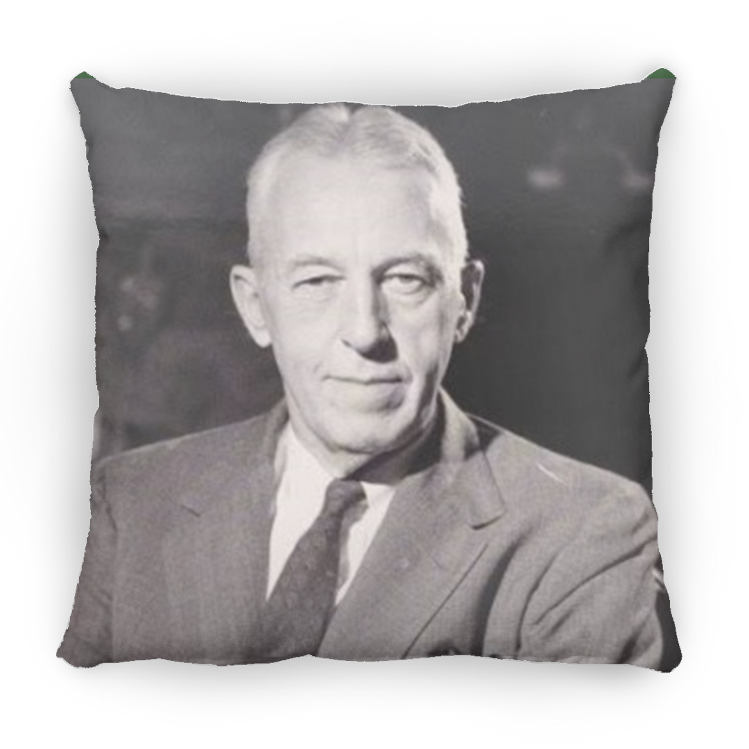 BILL W PILLOWS THREE SIZES