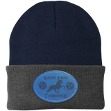 WALKIN ACROSS TENNESSEE TWH CP90 Knit Cap - Patch