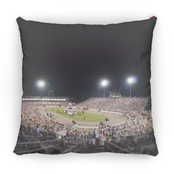 THE BIG OVAL TWHNC PILLOWS THREE SIZES