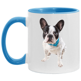 FRENCHIE PUPPY (3) AM11OZ 11 oz. Accent Mug