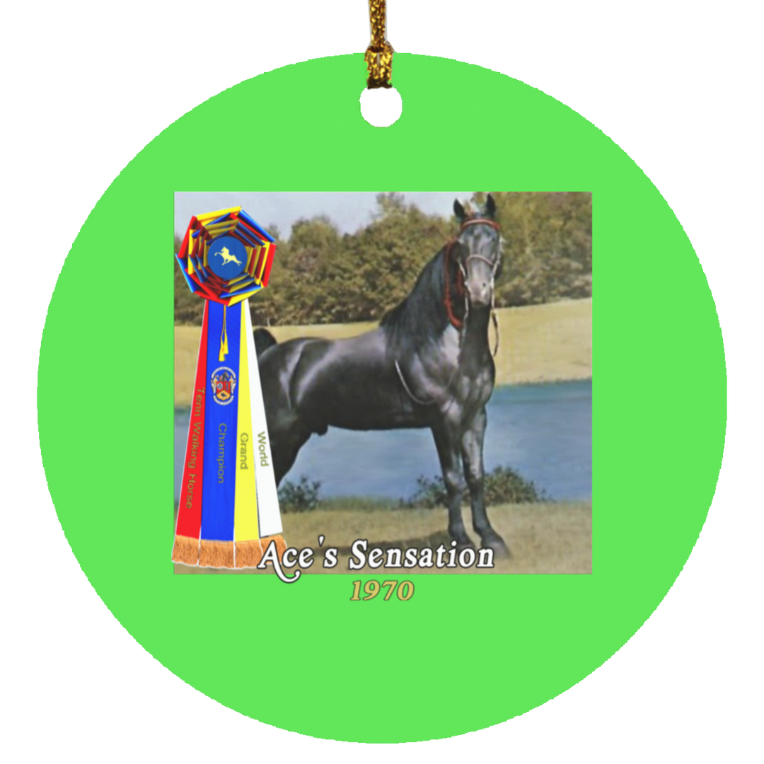 WGC ACES SENSATION SUBORNC Circle Ornament