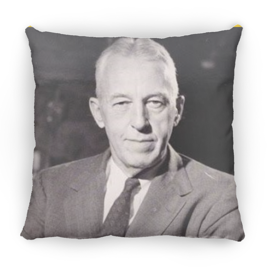 BILL W PILLOWS THREE SIZES
