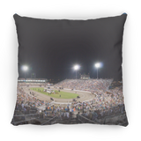 THE BIG OVAL TWHNC PILLOWS THREE SIZES