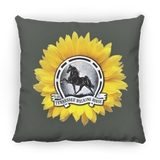 TWH Sunflower Vintage PILLOWS THREE SIZES