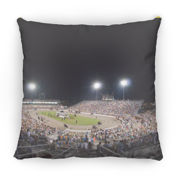 THE BIG OVAL-TWHNC PILLOWS THREE SIZES