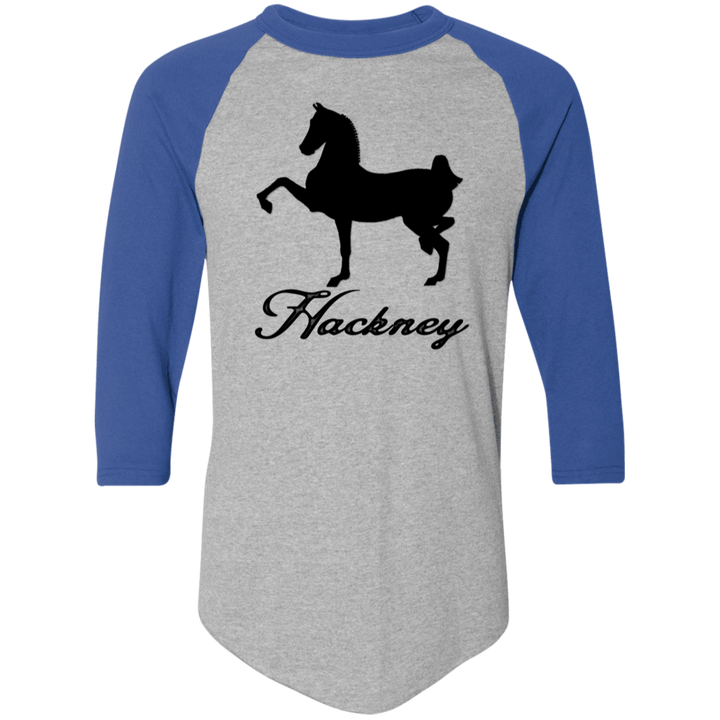 HACKNEY DESIGN 1 (black) 4HORSE 4420 Colorblock Raglan Jersey