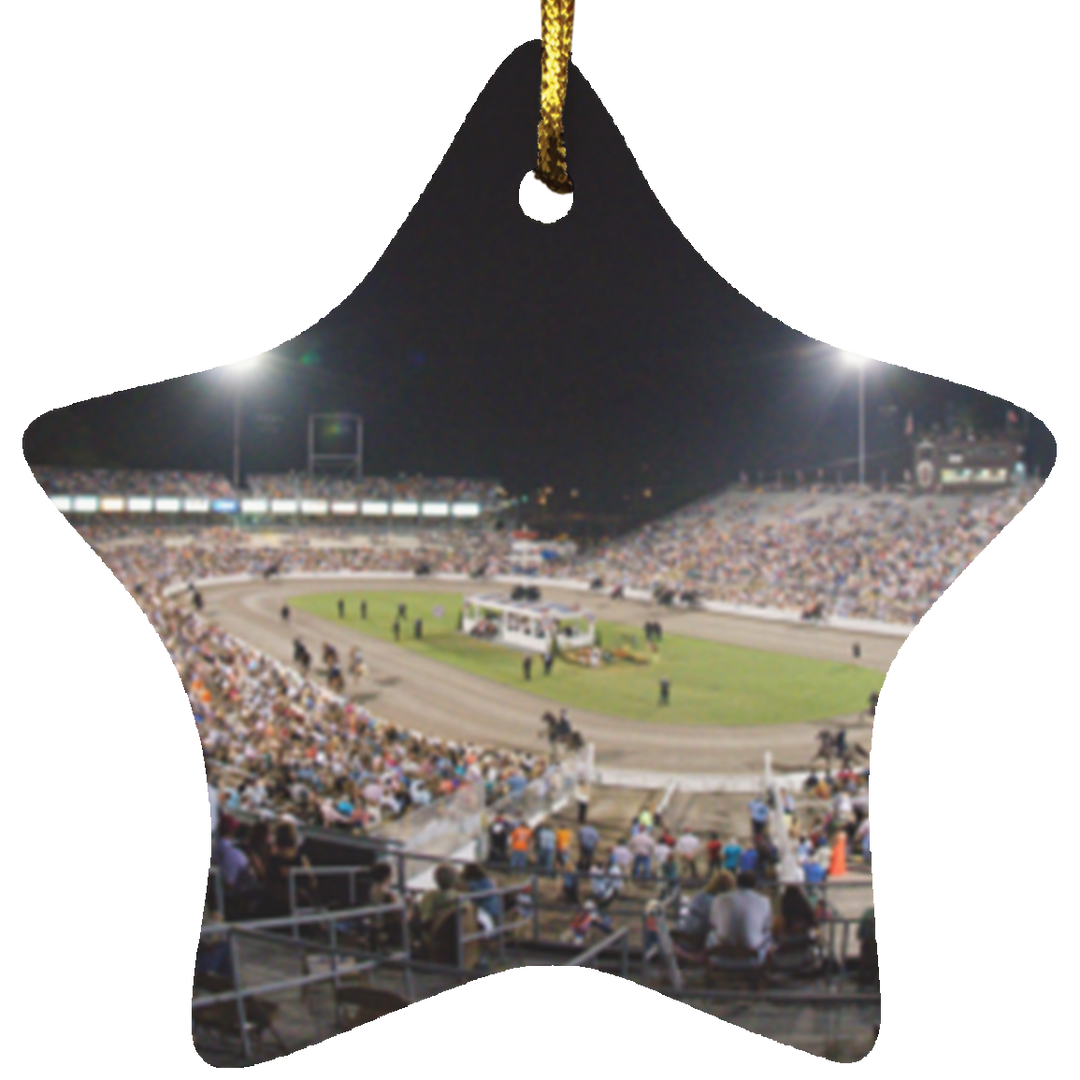 TennesseeWalkingHorseCeleb SUBORNS Star Ornament