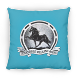 TWH Retro Vintage PILLOWS THREE SIZES
