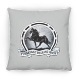 TWH Retro Vintage PILLOWS THREE SIZES