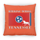 Walking Across Tennessee (Pleasure) ZP14 Small Square Pillow