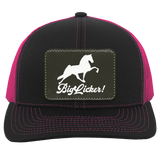 BIG LICKER PATCH HATTRUCKER HAT ( THREE SHAPES-12 COLORS AND STYLES)