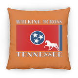 Walking Across Tennessee (Pleasure) ZP16 Medium Square Pillow