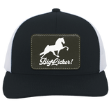 BIG LICKER PATCH HATTRUCKER HAT ( THREE SHAPES-12 COLORS AND STYLES)