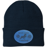 WALKIN ACROSS TENNESSEE TWH CP90 Knit Cap - Patch