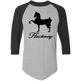 HACKNEY DESIGN 1 (black) 4HORSE 4420 Colorblock Raglan Jersey
