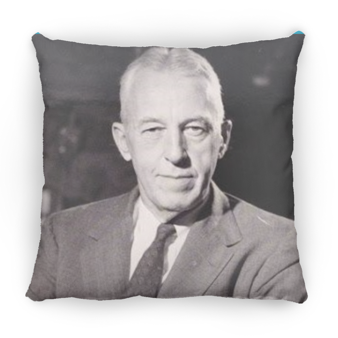 BILL W PILLOWS THREE SIZES