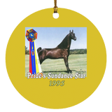 WGC PRIDES SUNDANCE STAR SUBORNC Circle Ornament