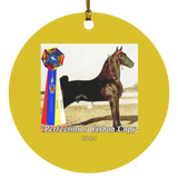 WGC PERFECTIONS CARBON COPY SUBORNC Circle Ornament