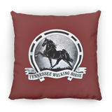 TWH Retro Vintage PILLOWS THREE SIZES