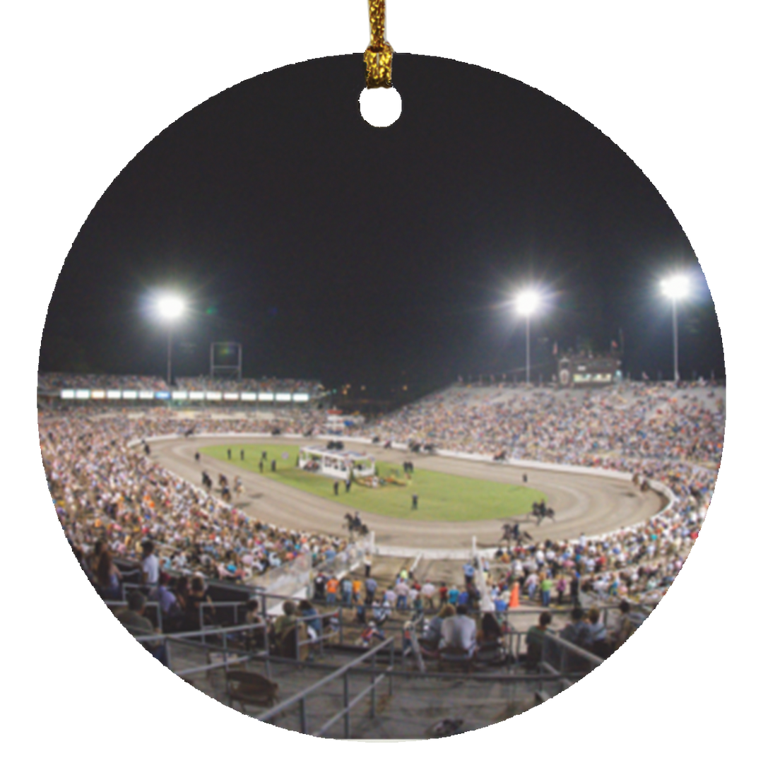 TennesseeWalkingHorseCeleb SUBORNC Circle Ornament