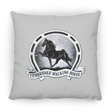 TWH Retro Vintage PILLOWS THREE SIZES