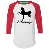 HACKNEY DESIGN 1 (black) 4HORSE 4420 Colorblock Raglan Jersey