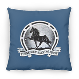 TWH Retro Vintage PILLOWS THREE SIZES