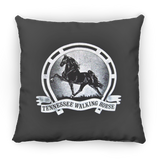 TWH Retro Vintage PILLOWS THREE SIZES