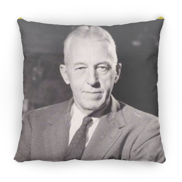 BILL W PILLOWS THREE SIZES