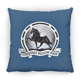 TWH Retro Vintage PILLOWS THREE SIZES