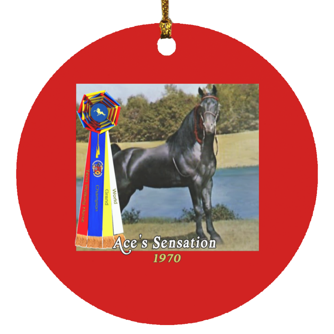 WGC ACES SENSATION SUBORNC Circle Ornament