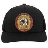KATHY PARROTT JAMISON (TWH LEGENDS) HAT 104C Trucker Snap Back - Patch