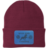 WALKIN ACROSS TENNESSEE TWH CP90 Knit Cap - Patch
