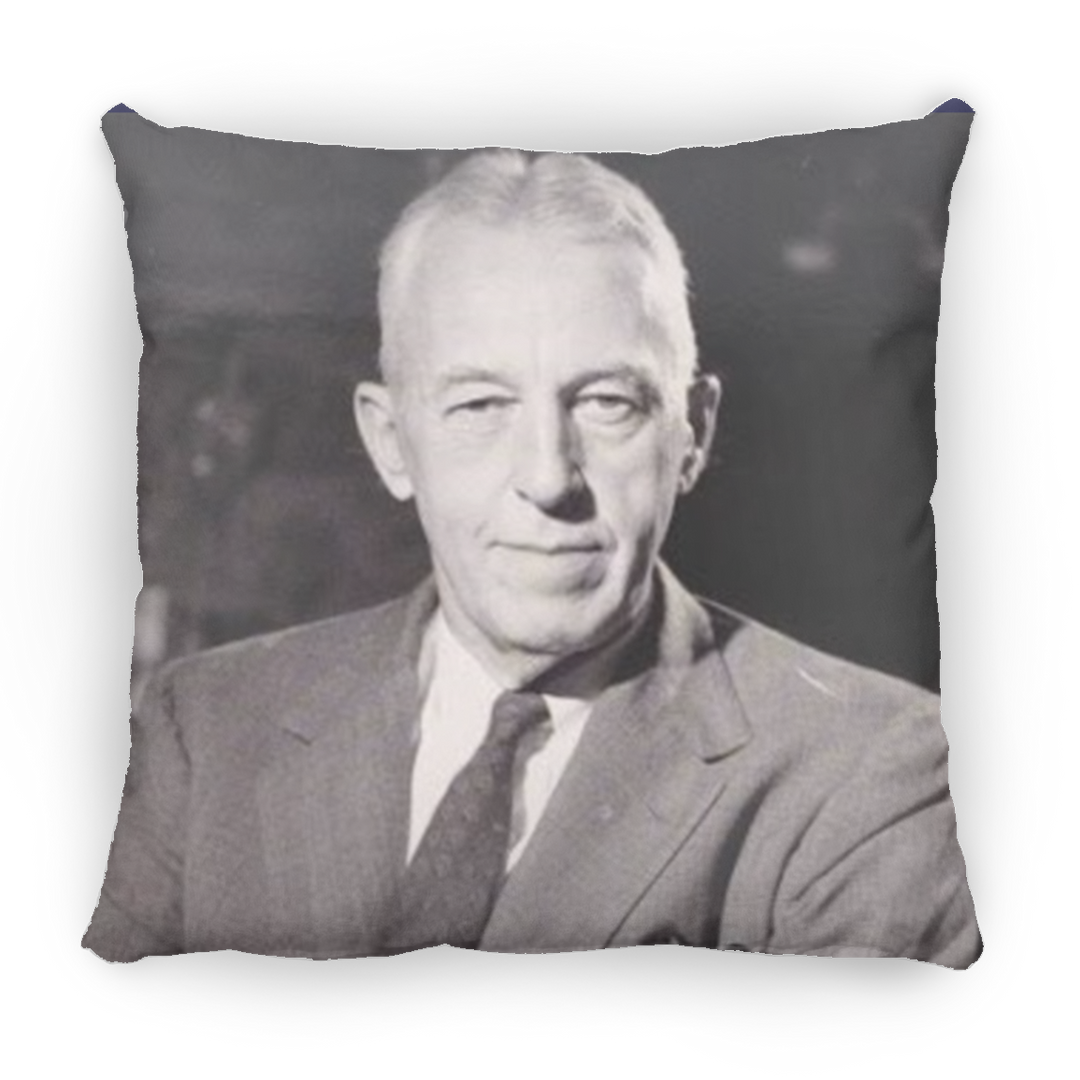 BILL W PILLOWS THREE SIZES